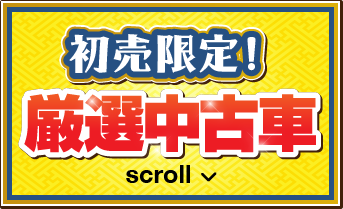 期間限定！お買得車！
